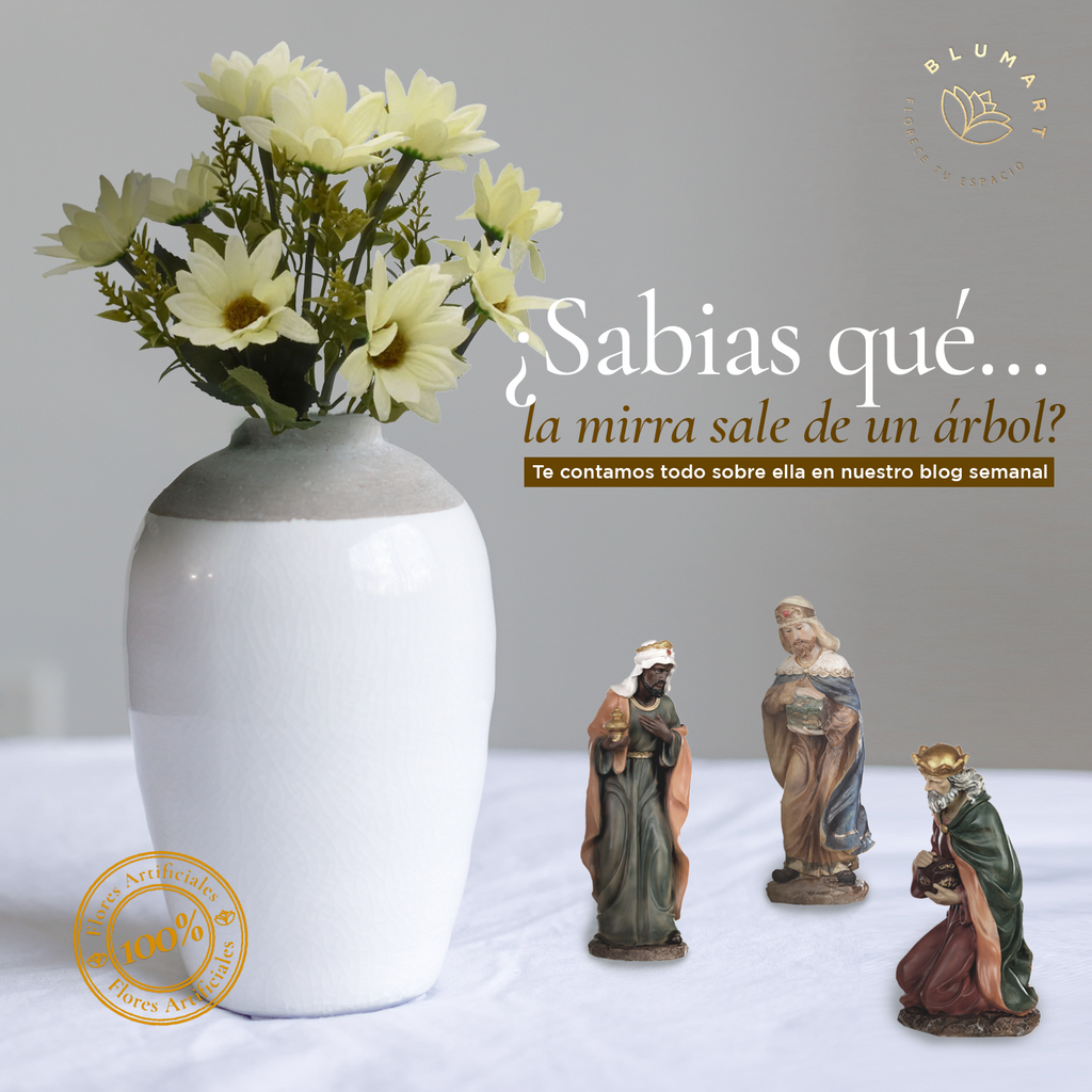 ¿Sabias qué la mirra sale de un árbol?