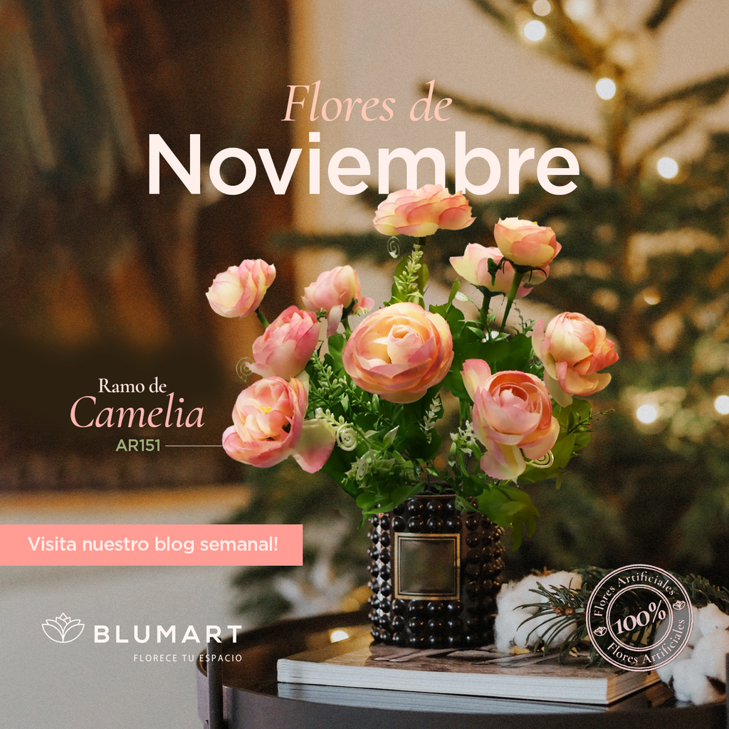 Flores de noviembre💐