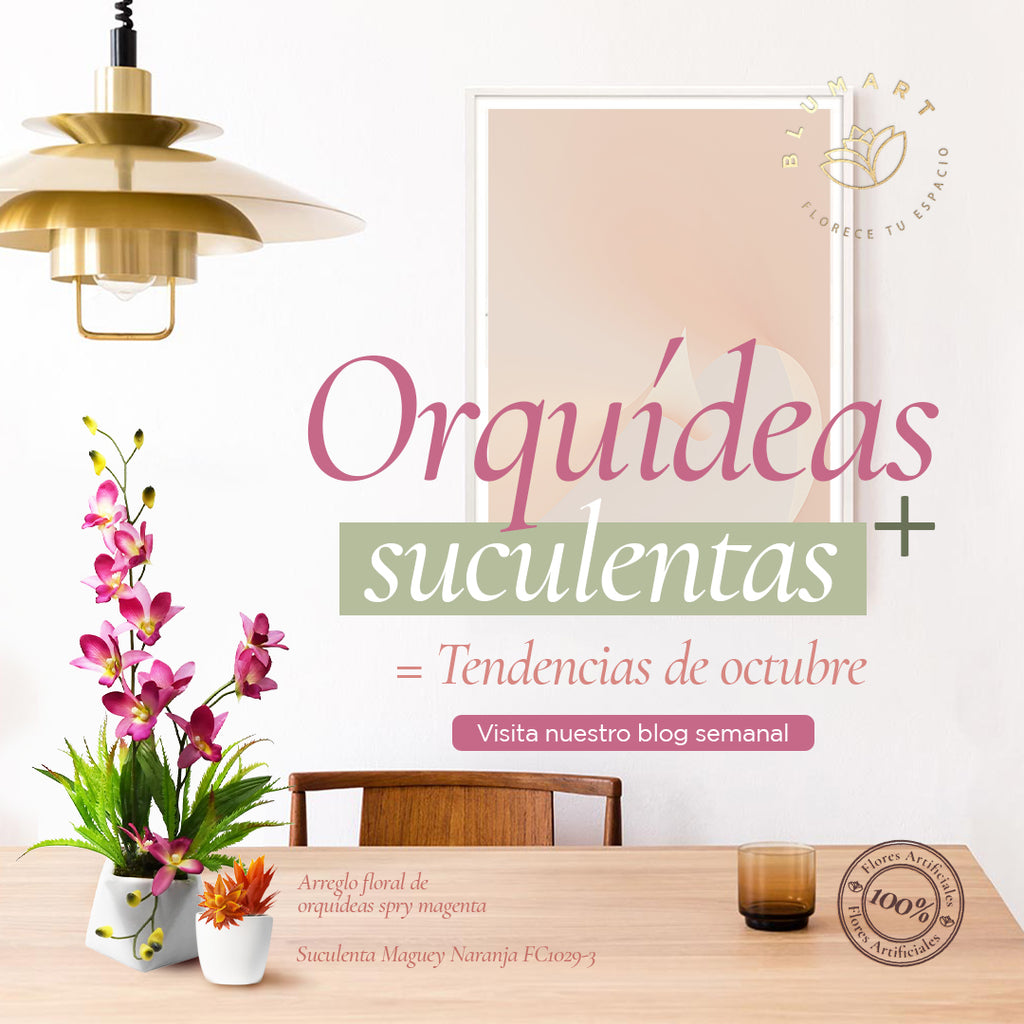 Orquídeas + suculentas= tendencias de octubre.