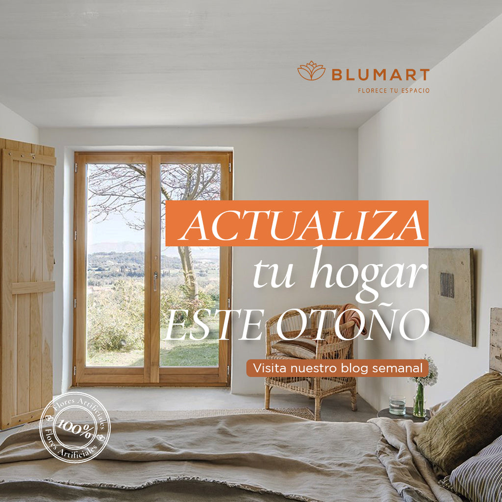 Actualiza tu hogar este otoño-invierno 🍂❄️