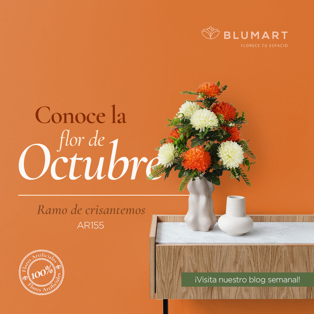 Conoce la flor de octubre 🍂