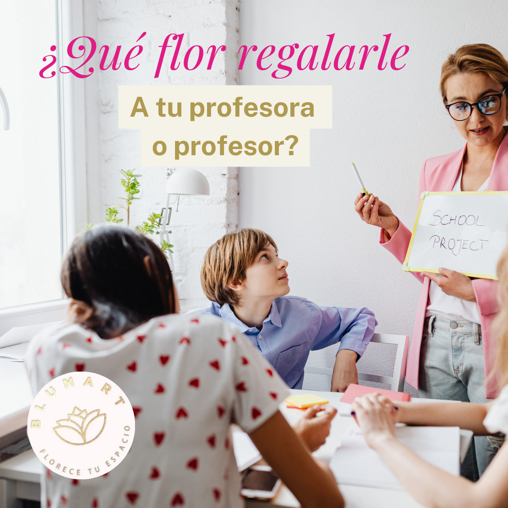 ¿Qué flor se le puede regalar a una profesora o profesor?