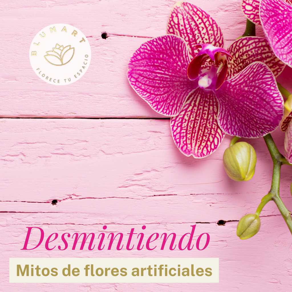 Desmintiendo mitos de flores artificiales 💐