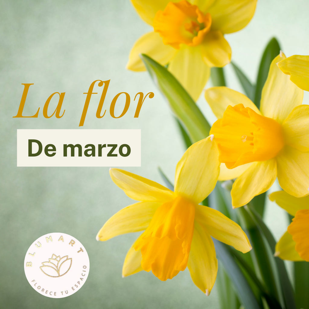 La flor de marzo