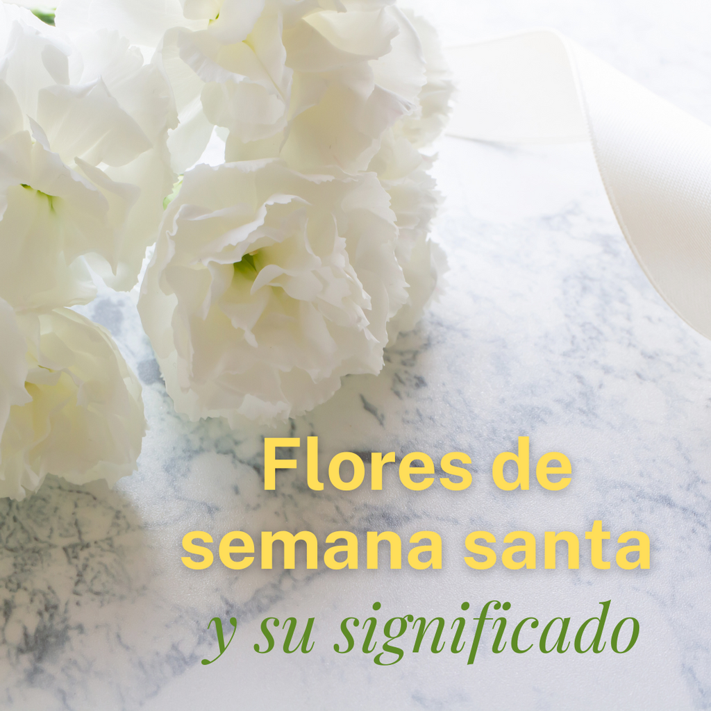 Flores de semana santa y su significado