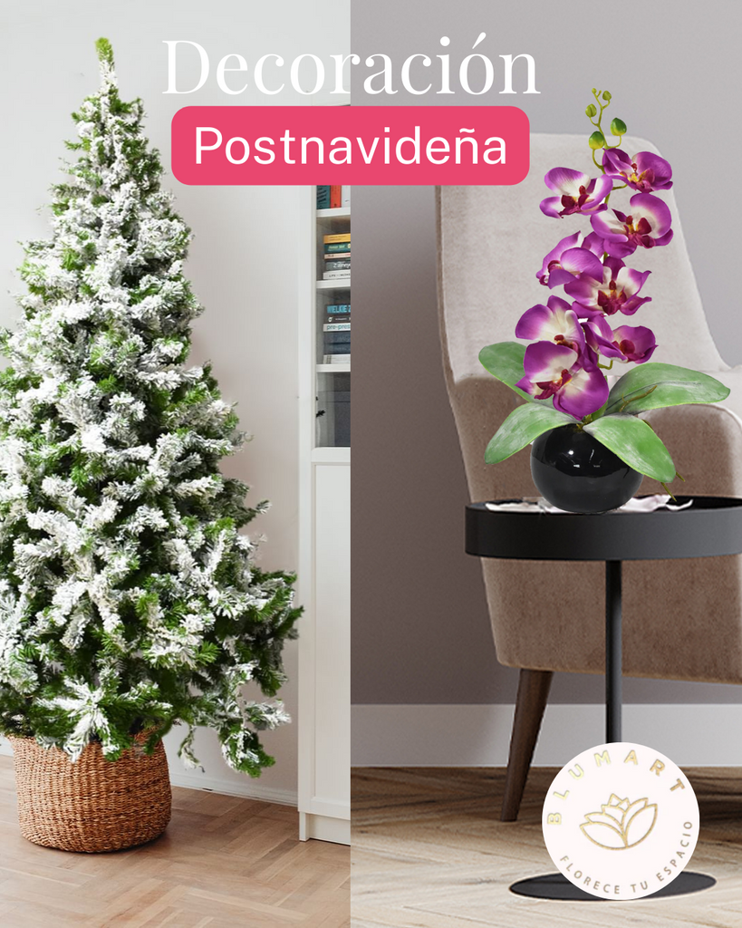 ¿El árbol de navidad dejo un hueco en tu casa sin decorar?