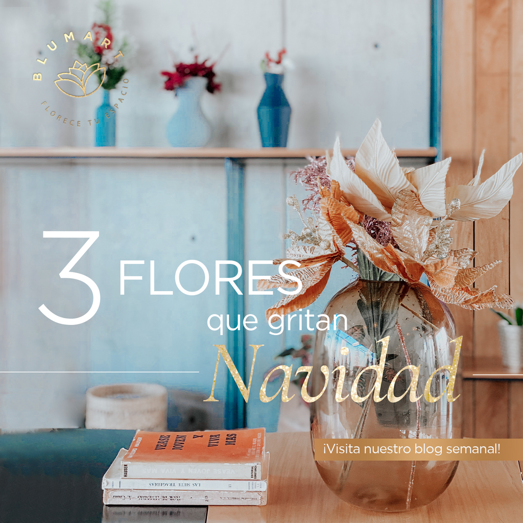 3 flores que gritan ¡navidad!🎅🌹