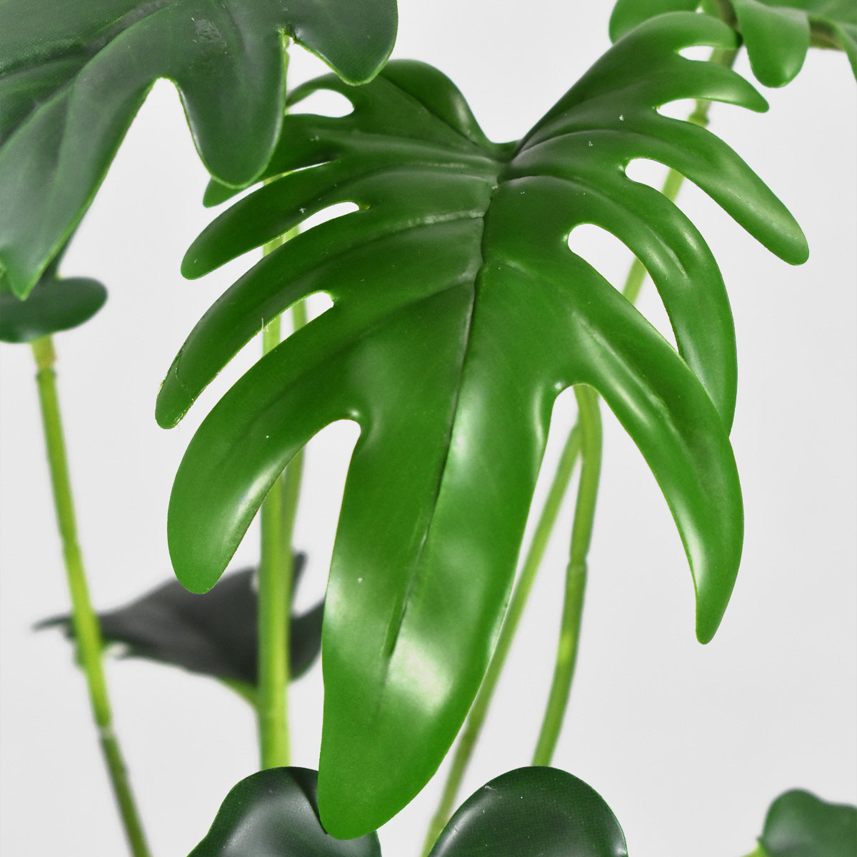 Paquete 12 Pz Planta de Garra Artificial JI21041