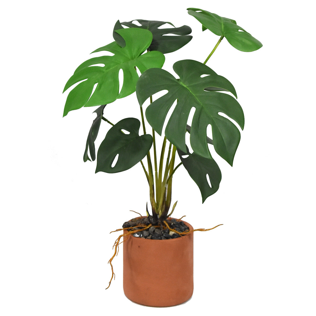 Paquete 12 Pz Planta de Monstera Artificial JI21040