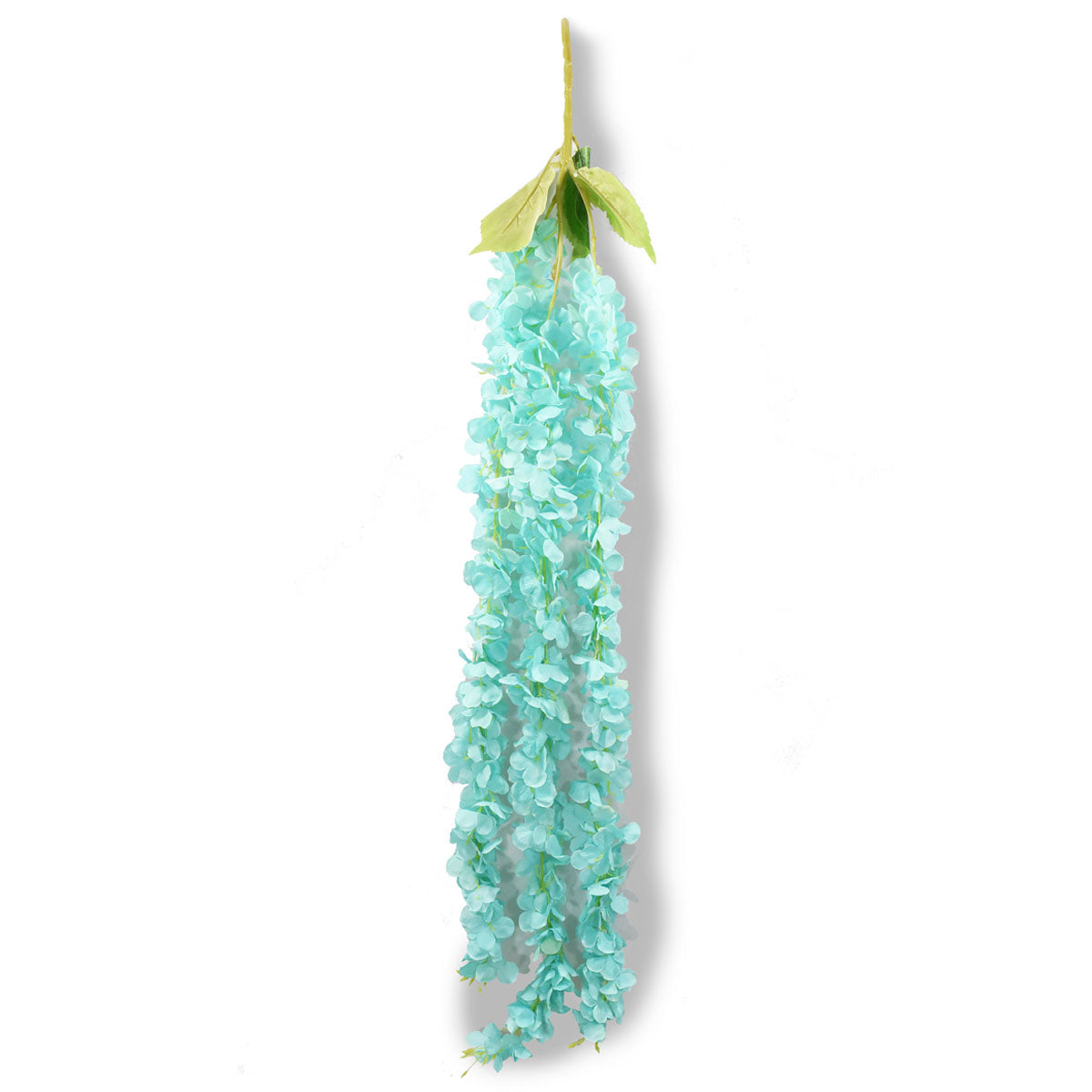 Wisteria Glisina Flor Colgante AR032
