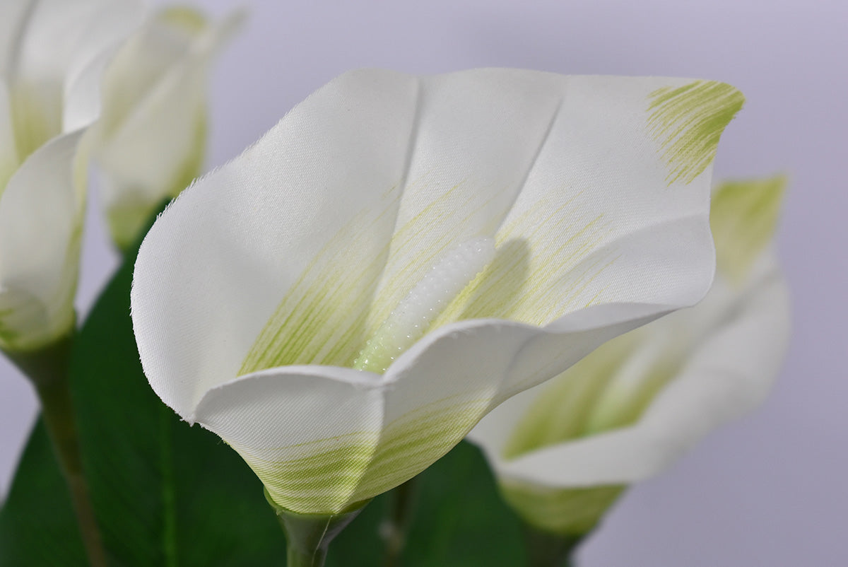 Ramo de Alcatraz Artificial Blanco DB001