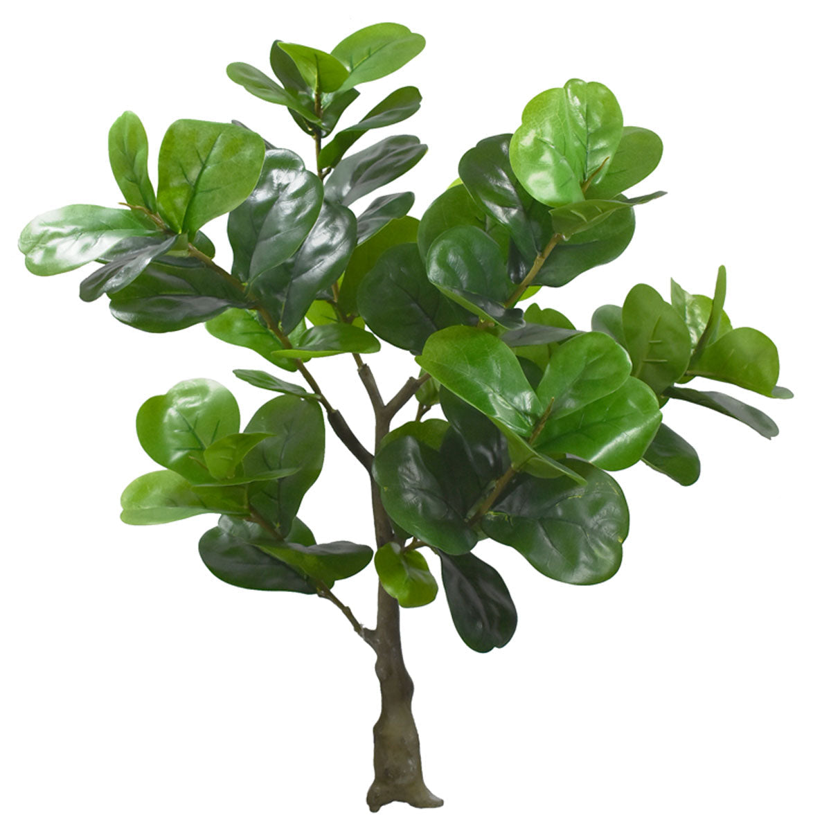 Paquete 3 Pz Planta ficus Pandurata o Higuera Artificial 60 cm J202204