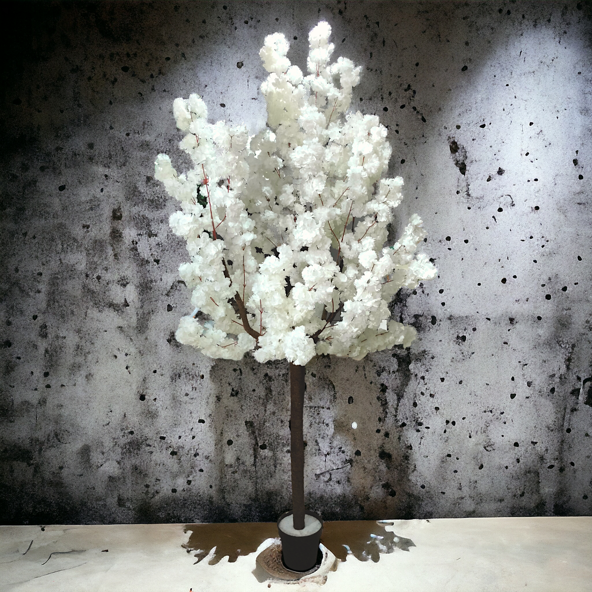 Árbol Flor de Cerezo Blanco 2.00 mts RMACGWH