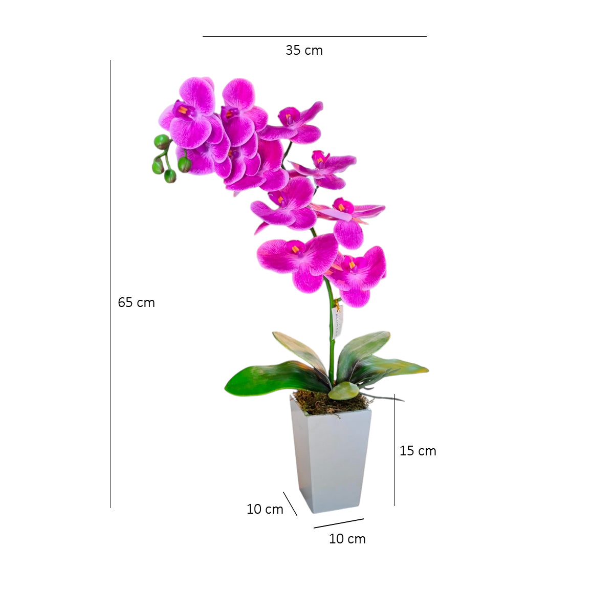 Arreglo Floral de Orquídeas Tacto Natural Magenta