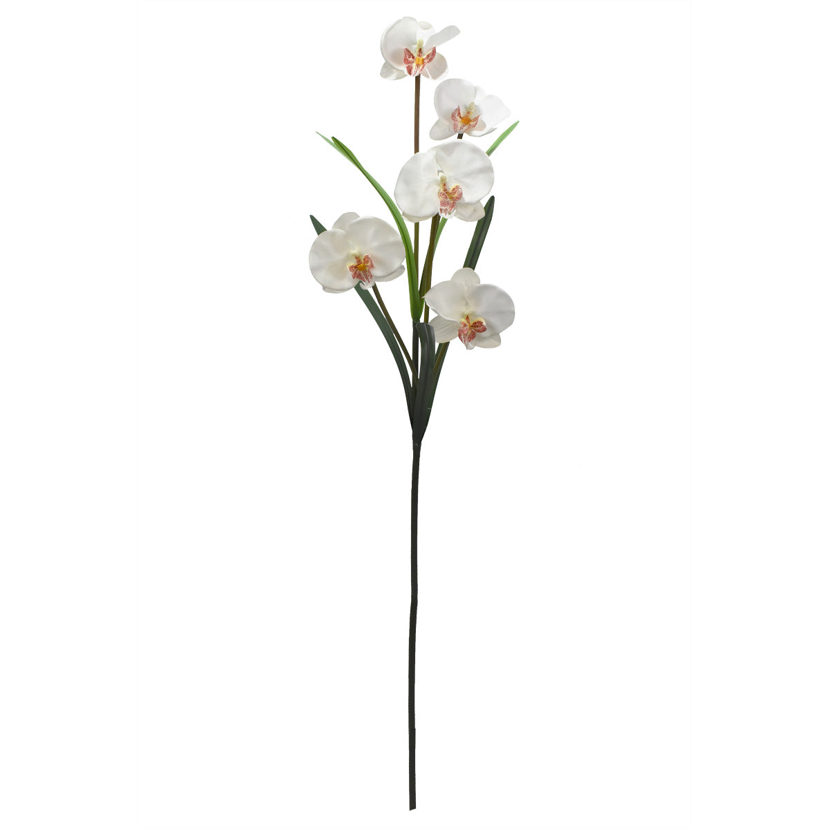 Vara de Orquídea phalaenopsis Artificial D0015