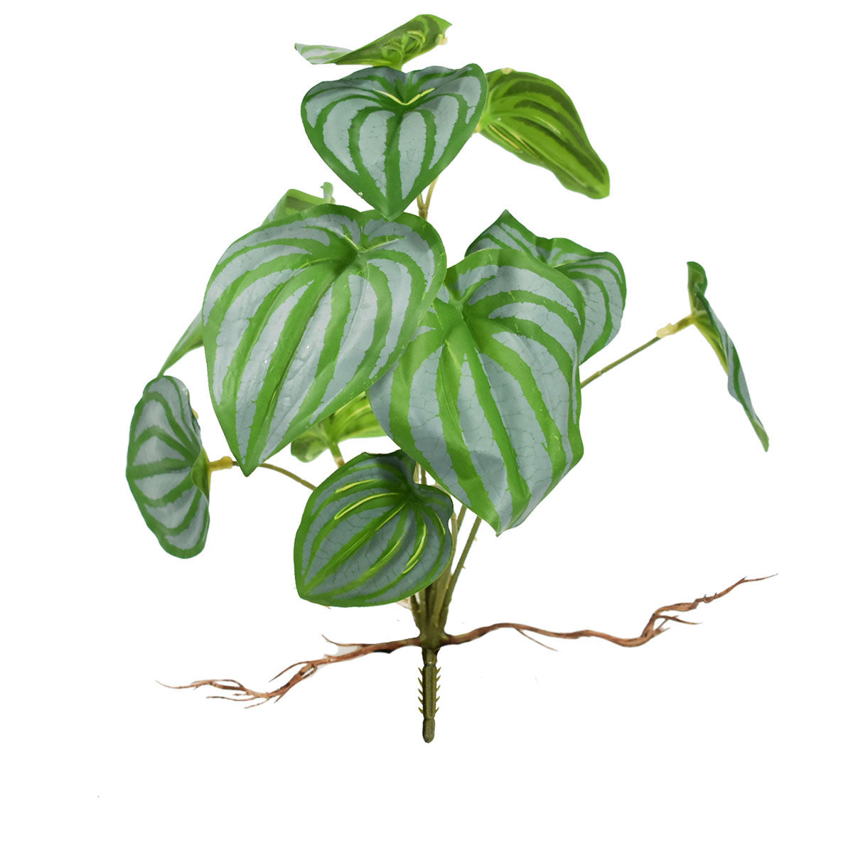 Plantita con Raíz Sapito Artificial AR457