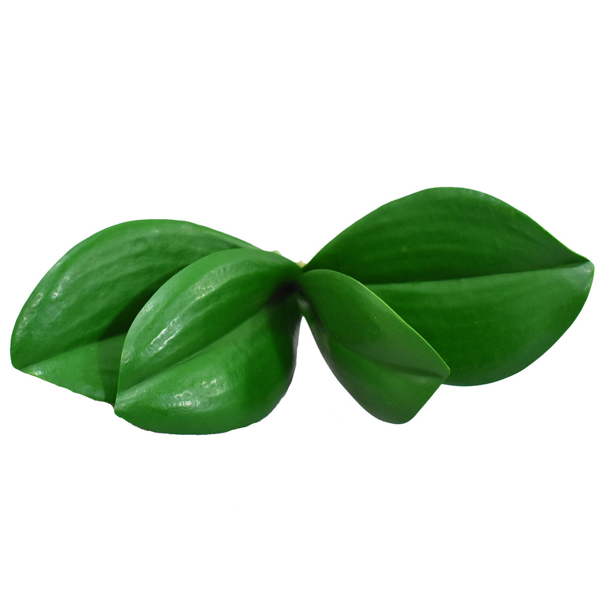Hoja de Orquídea Mariposa Artificial AR207