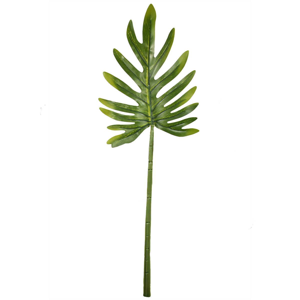 Hoja Costilla de Adan Grande Artificial YS006