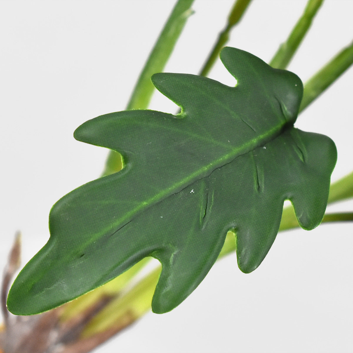 Planta de Garra Artificial JI21041