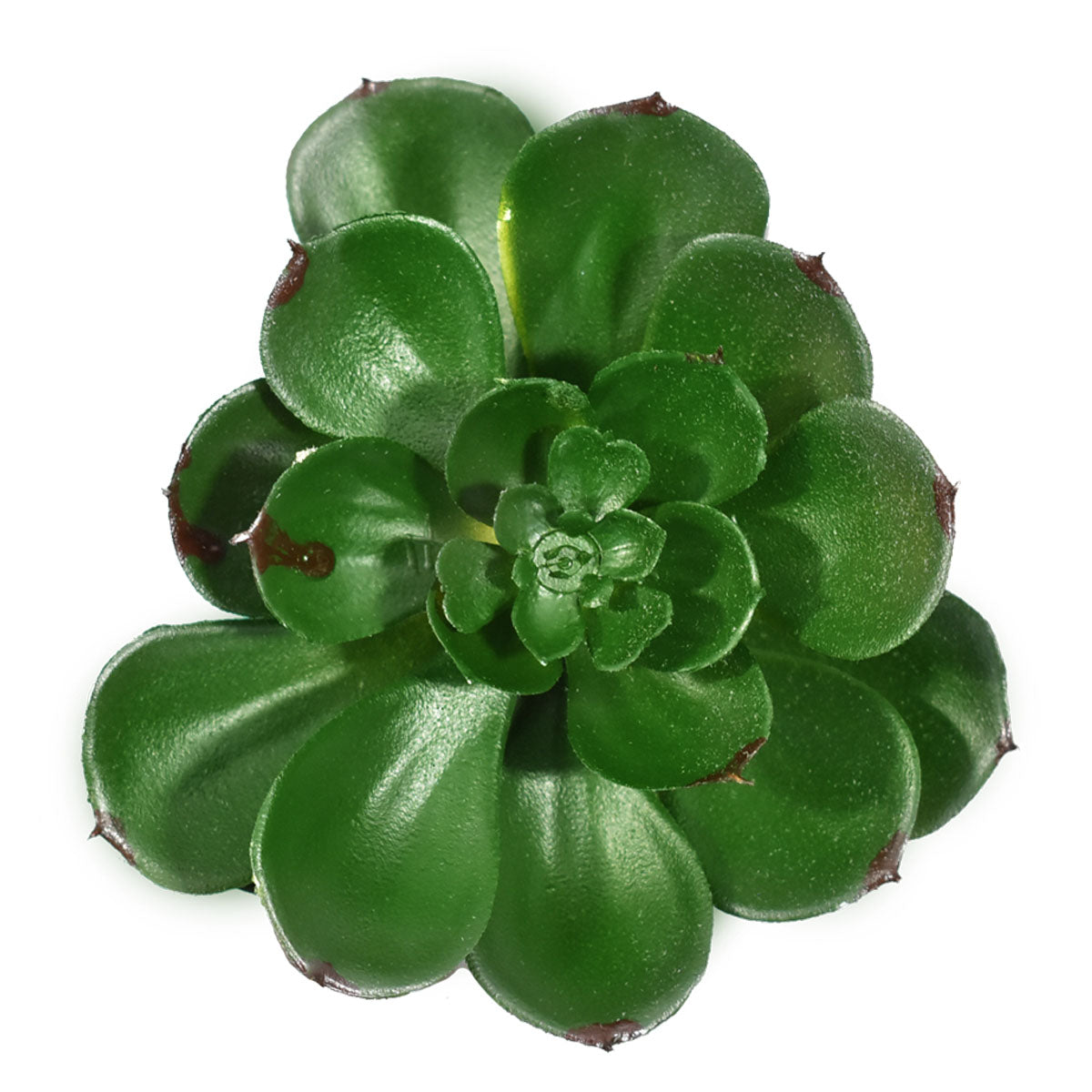 Suculenta Artificial LY007