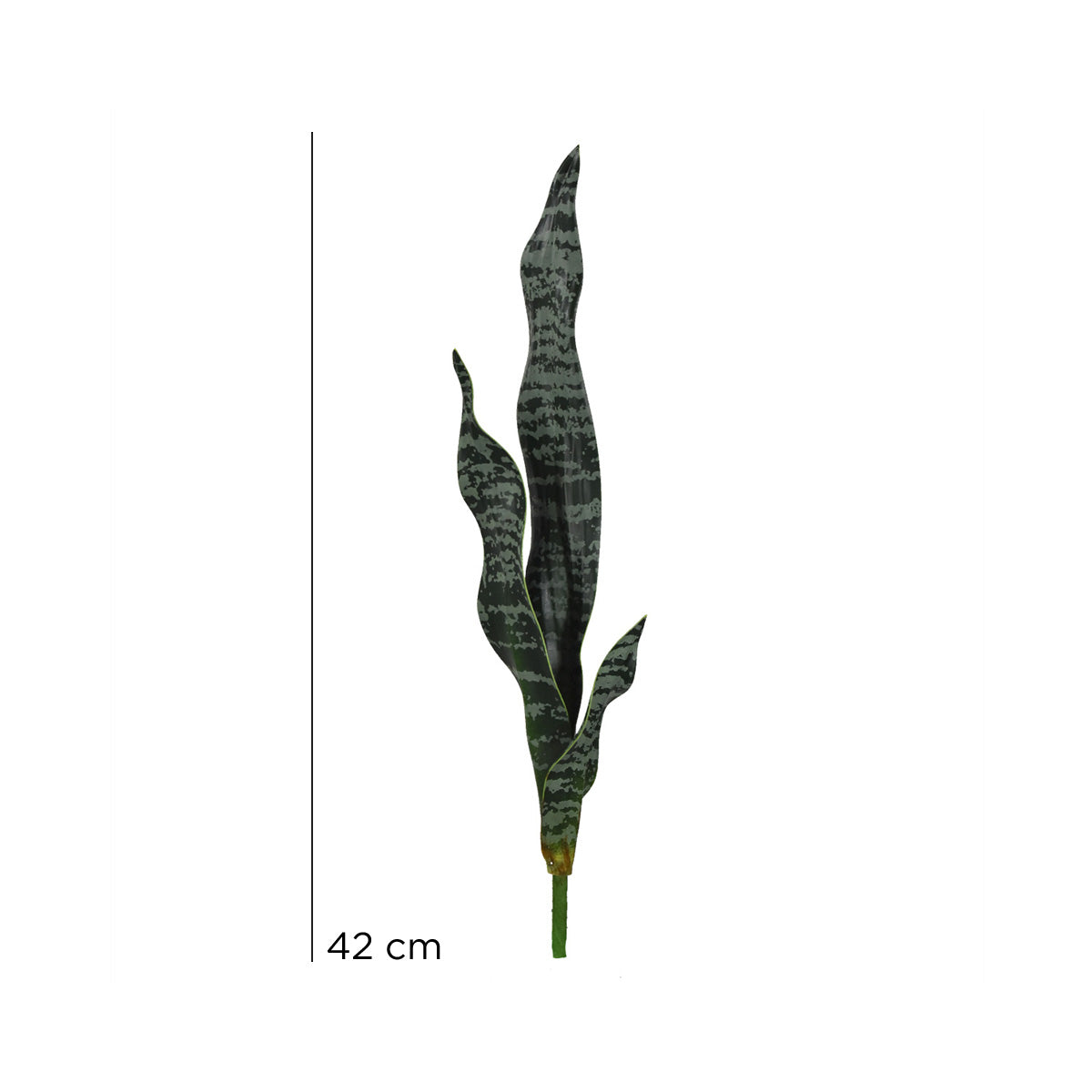 Planta Espada Tigre, Lengua de Suegra Artificial