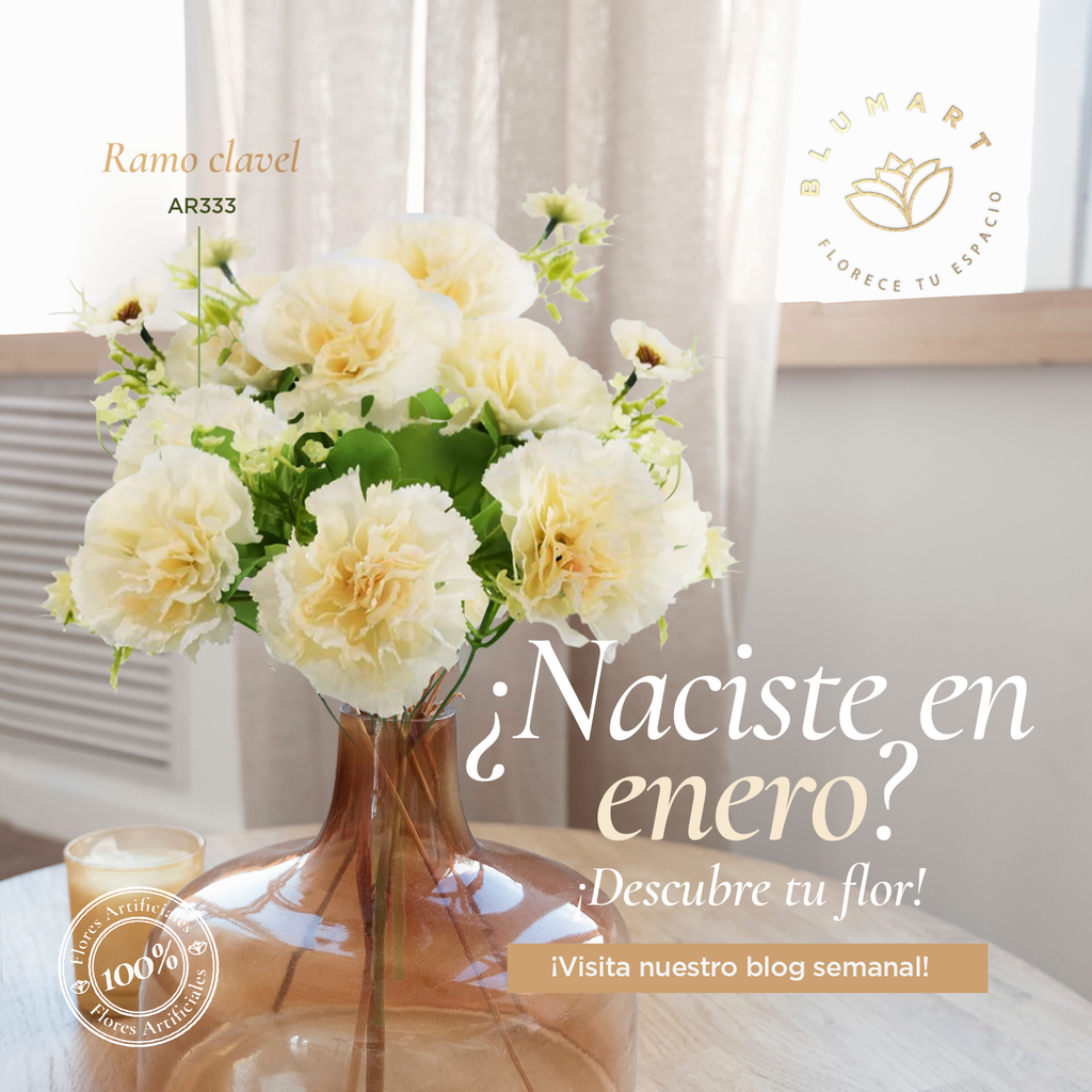 ¿Naciste en enero? 🥳 ¡Descubre tu flor!