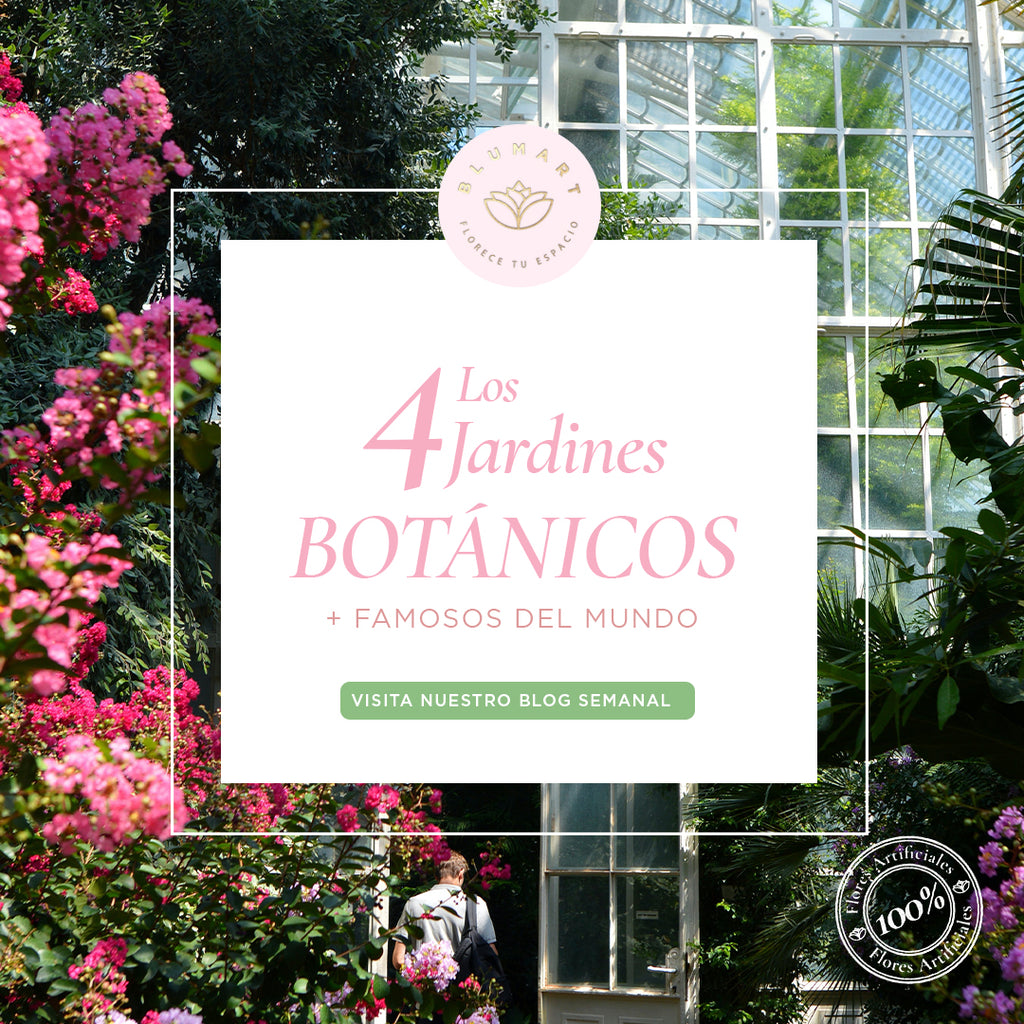 Los 4 jardines botánicos más famosos del mundo.🪴🌺⁣