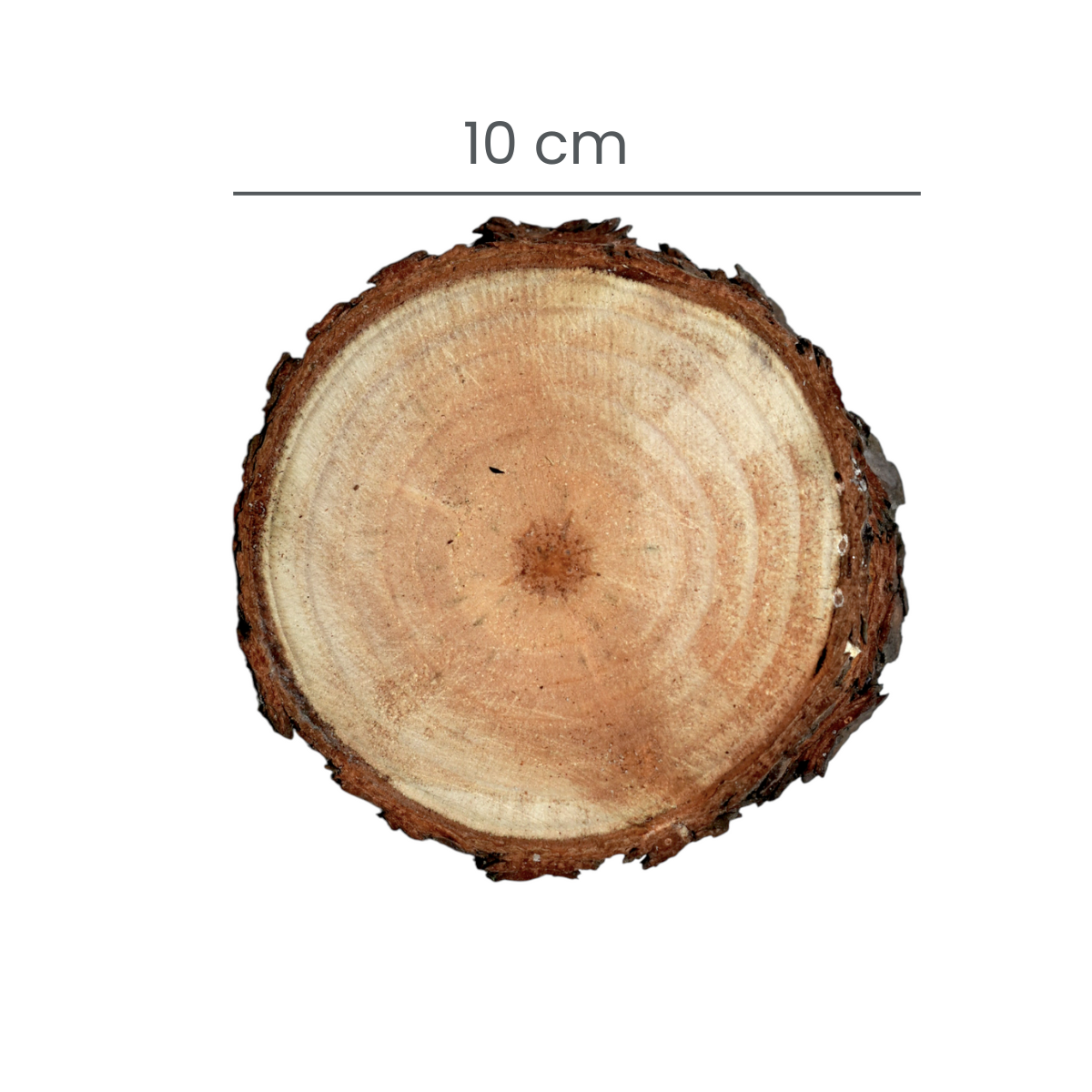 Rebanadas de Madera Natural Pulidas 10 CM 12PZ 330010X12