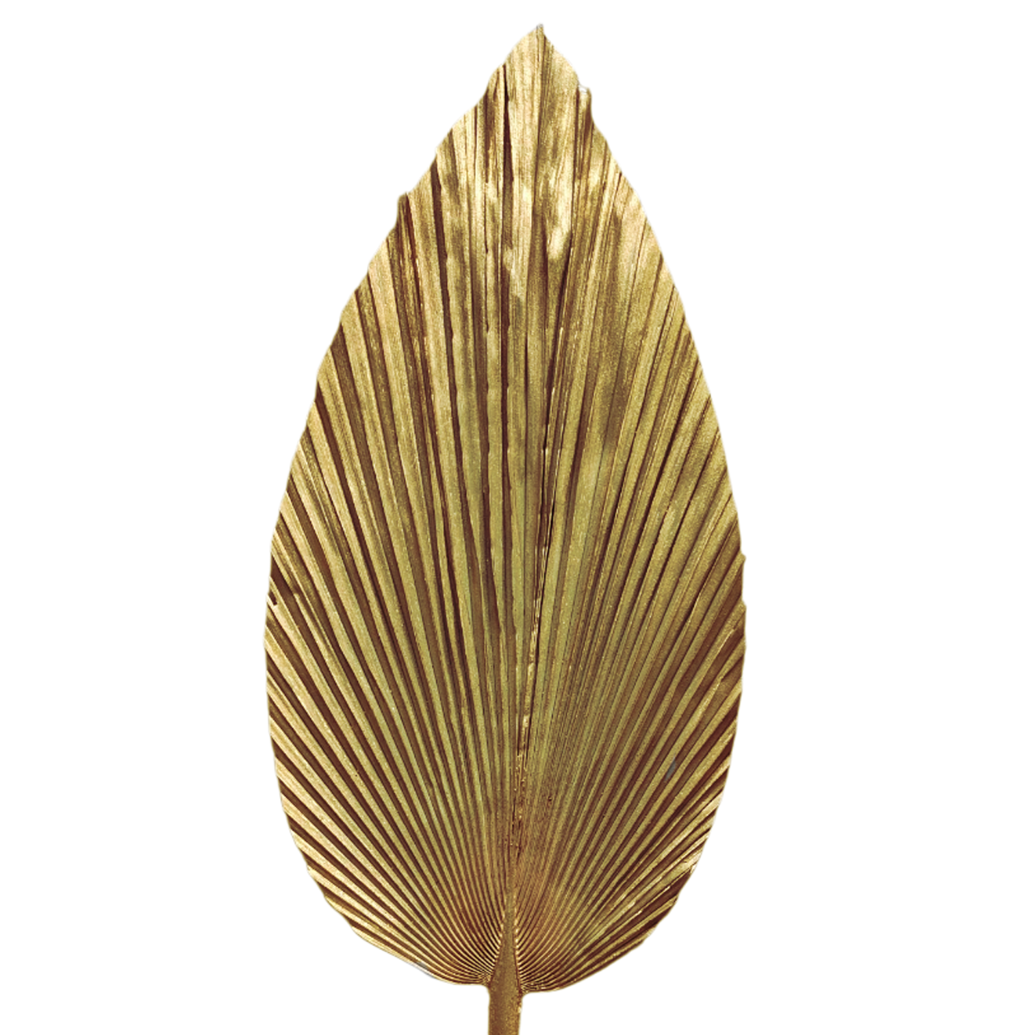 Palma Seca Boho XL Dorado 90 cm 320014DO