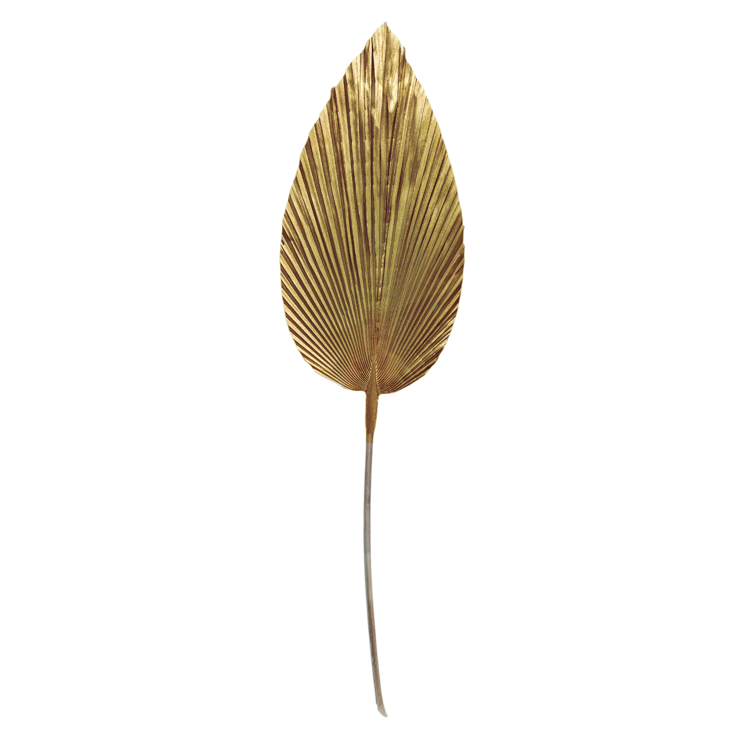 Palma Seca Boho XL Dorado 90 cm 320014DO