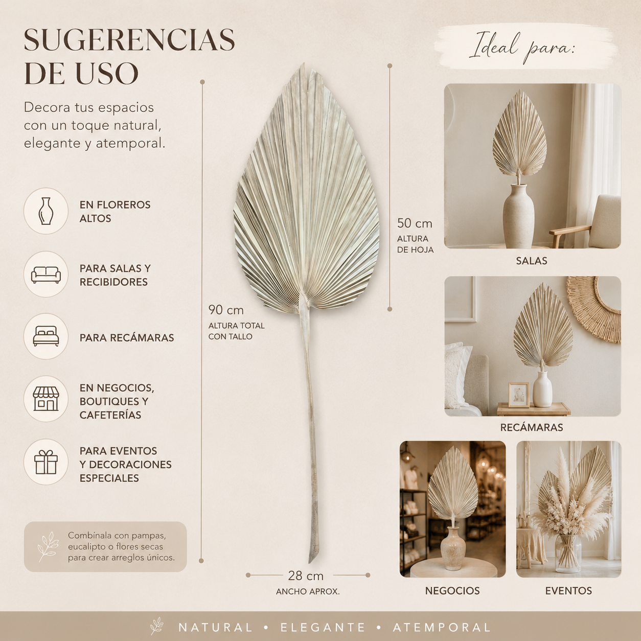 Palma Seca Boho XL Natural 90 cm 320013NAT