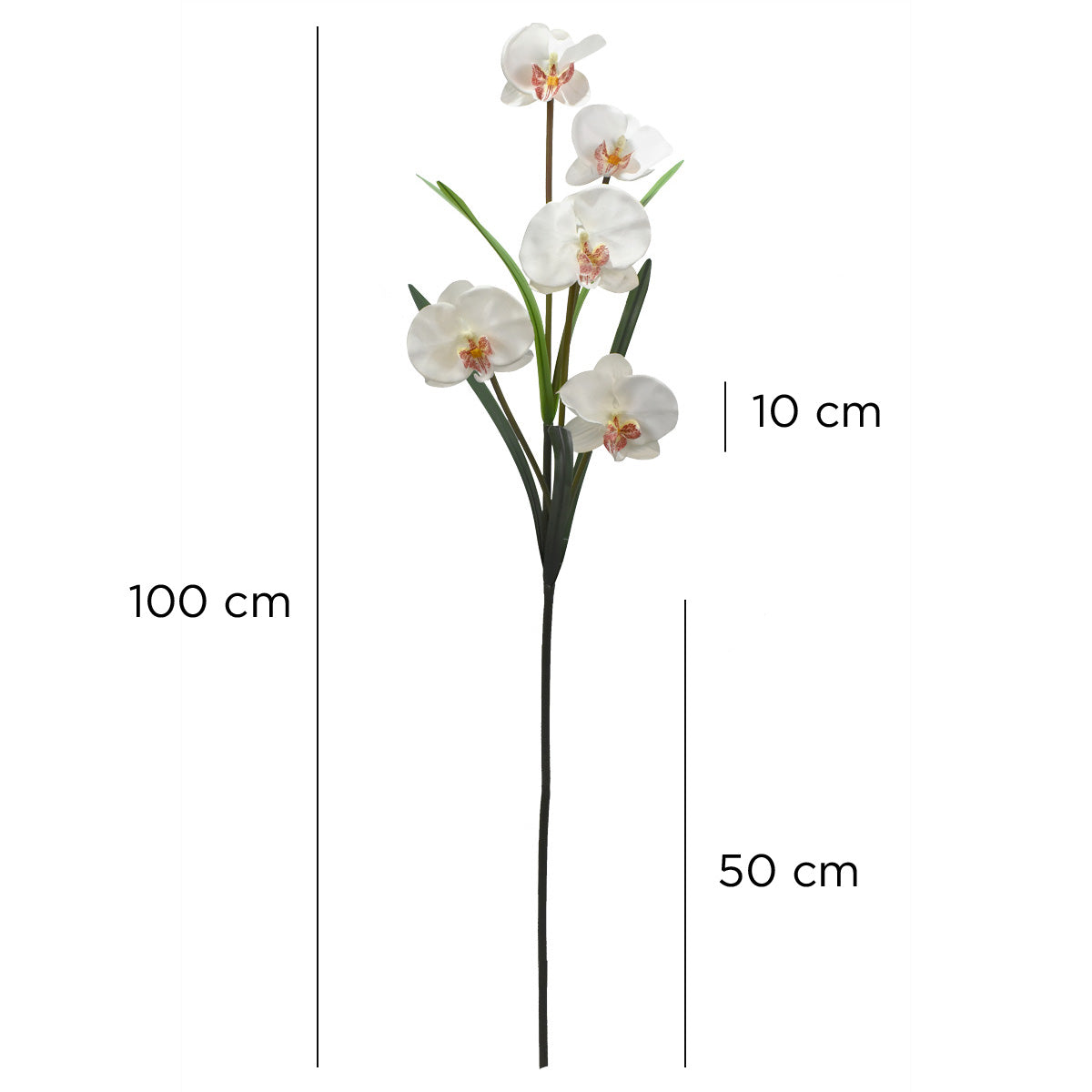 Vara de Orquídea Mariposa Artificial Blanco D0015WH