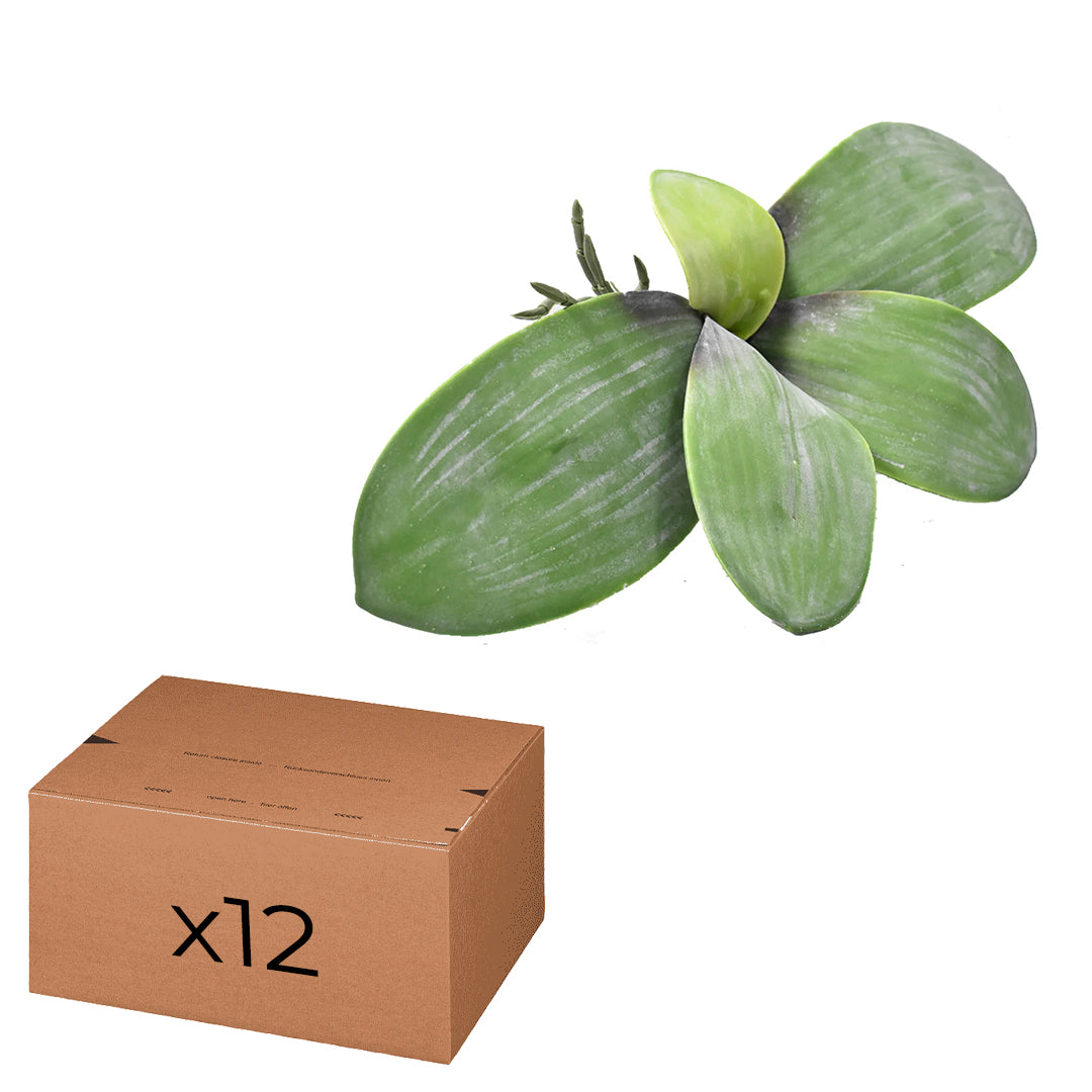 Paquete De 12 Pz Hoja de Orquídea Mariposa Artificial DA20382