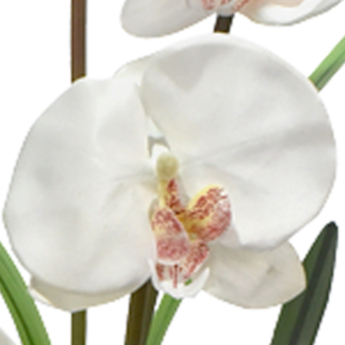 Vara de Orquídea Mariposa Artificial Blanco D0015WH
