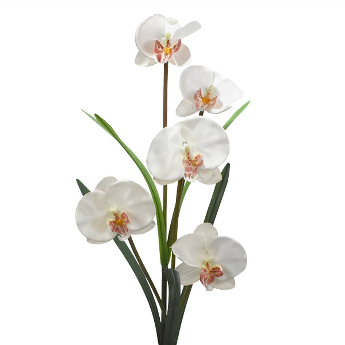 Vara de Orquídea Mariposa Artificial Blanco D0015WH