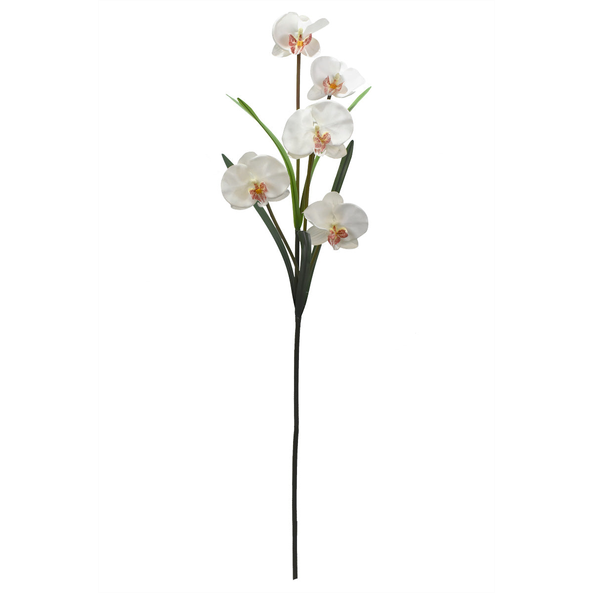 Vara de Orquídea Mariposa Artificial Blanco D0015WH