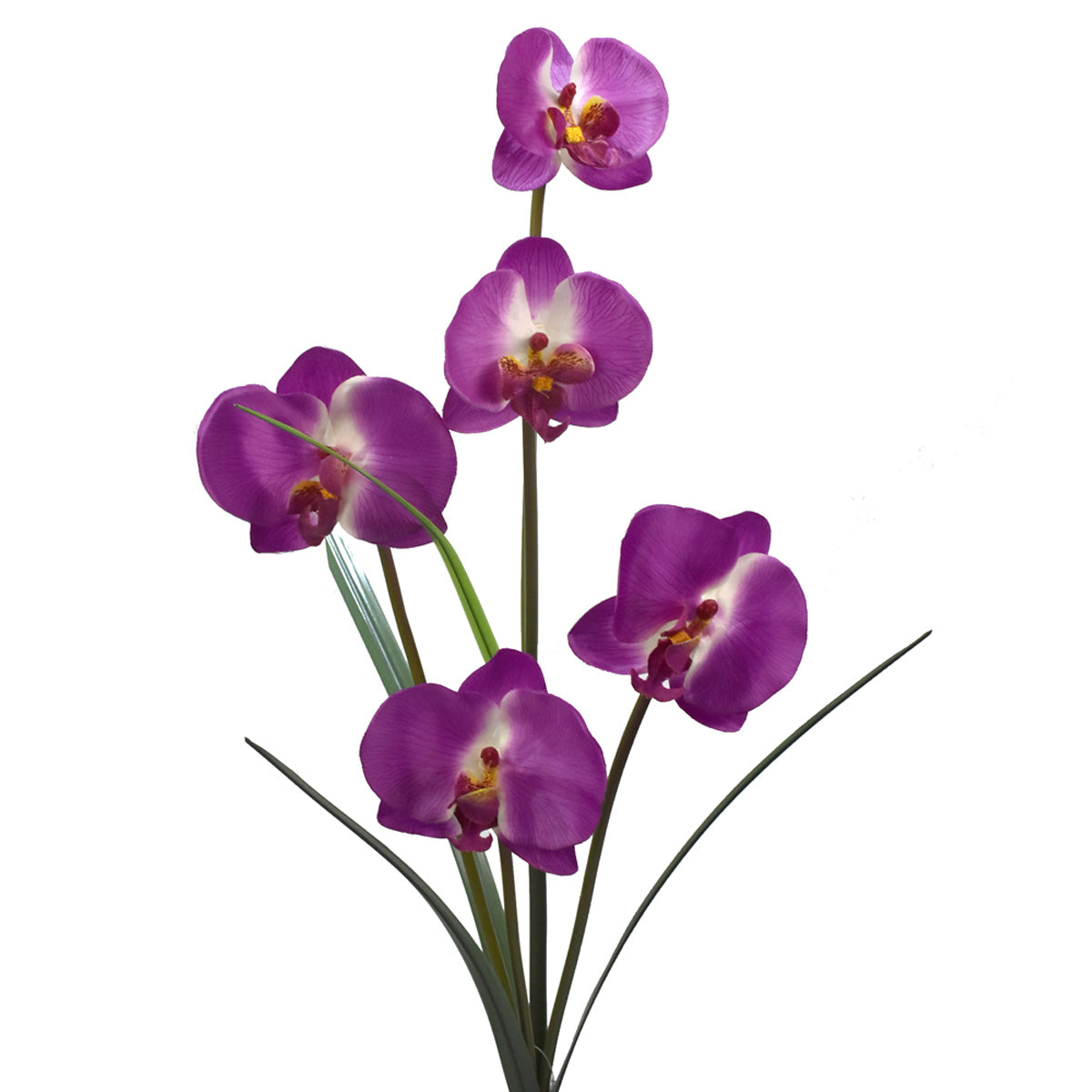 Vara de Orquídea Mariposa Artificial Morado D0015PU