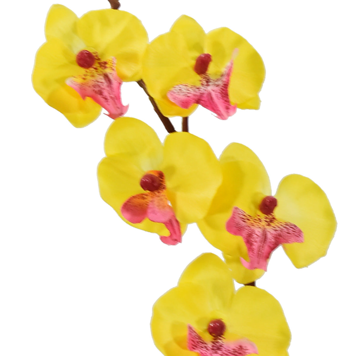 Mini Orquídea Doble Artificial Amarillo AEB440002