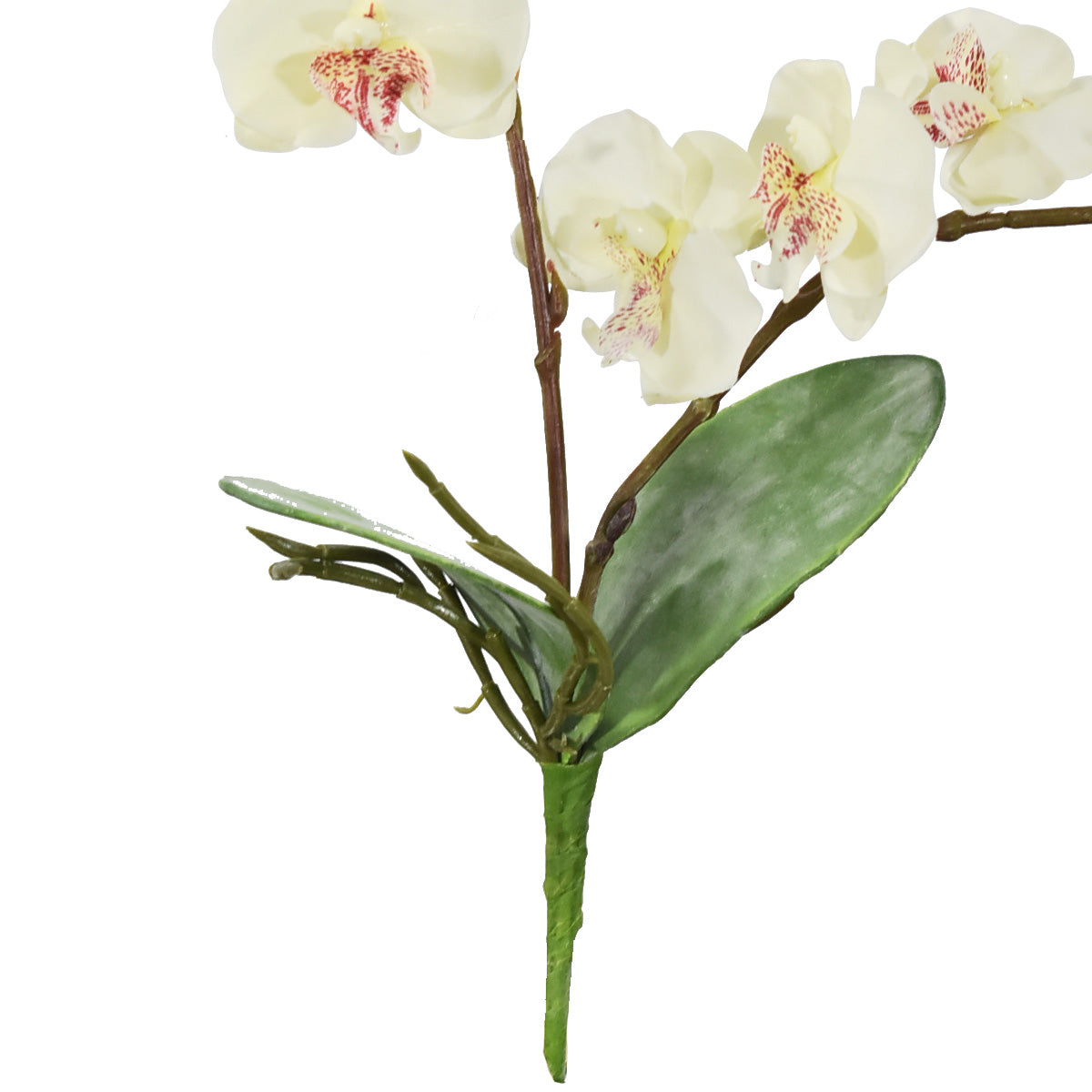 Mini Orquídea Doble Artificial Blanco AEB440002WH