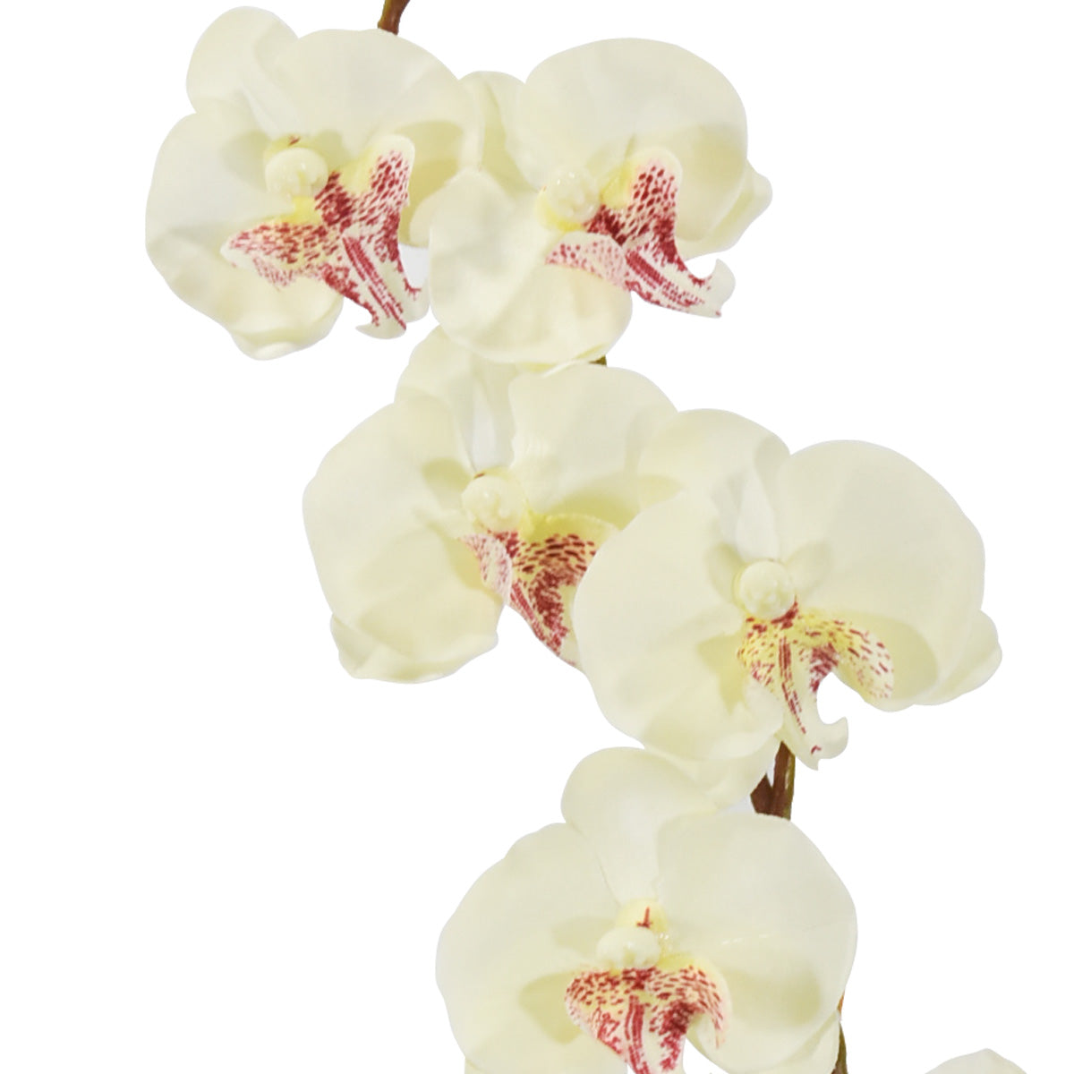 Mini Orquídea Doble Artificial Blanco AEB440002WH