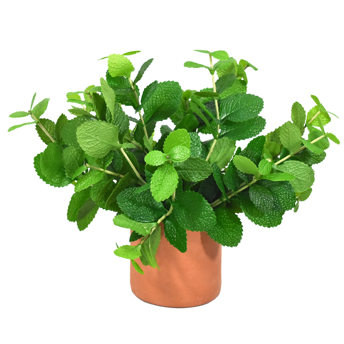 Paquete 12 pz Follaje Planta de Menta Artificial JI21053