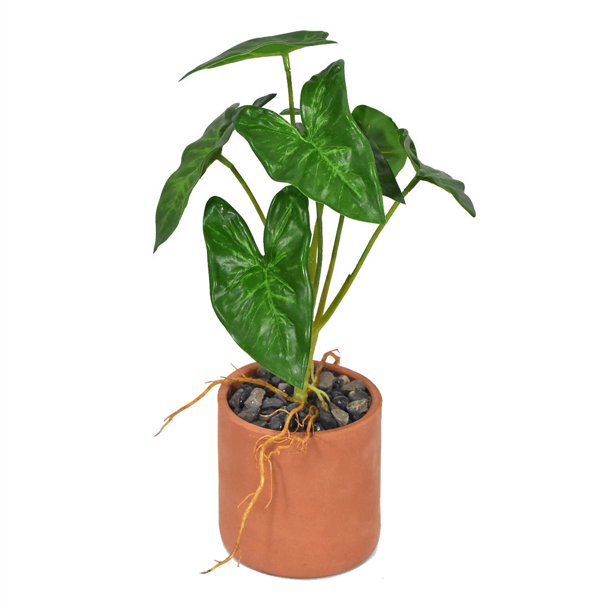 Paquete 12 Pz Planta de Taro Artificial JI21049