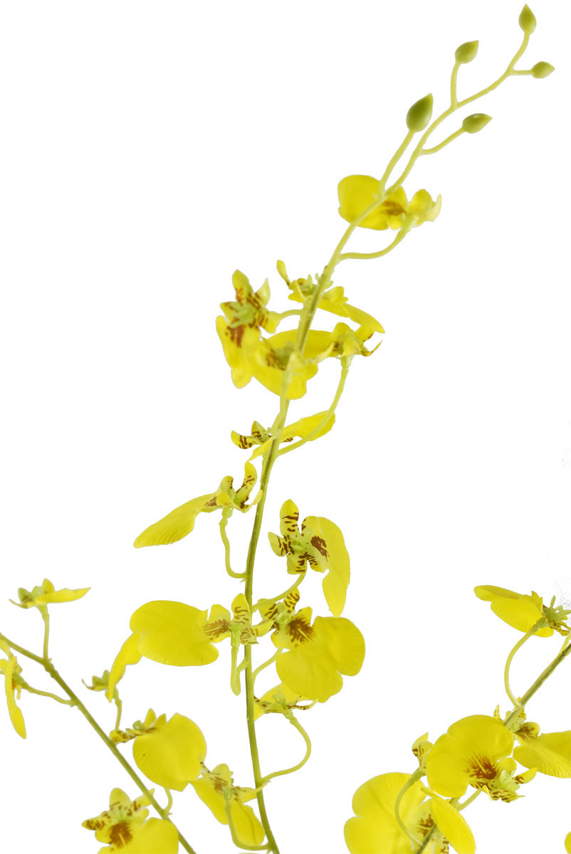 Vara de Orquídeas Bailarinas Artificial Amarillo HY166023YL