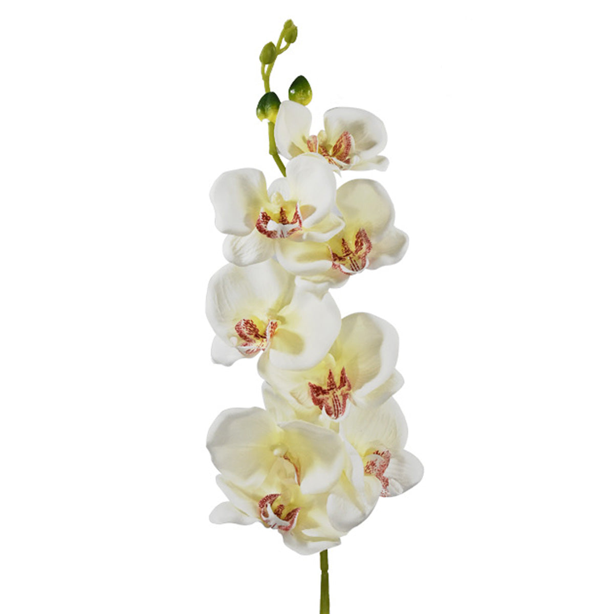 Vara de Orquídea Mariposa Artificial Blanco YL2001WH
