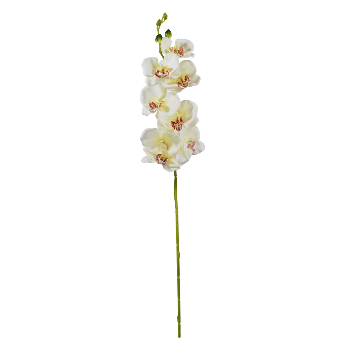 Vara de Orquídea Mariposa Artificial Blanco YL2001WH