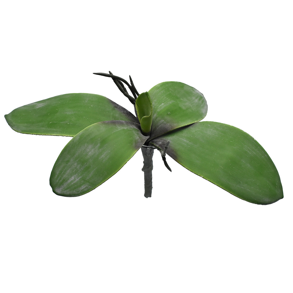 Paquete De 12 Pz Hoja de Orquídea Mariposa Artificial DA20382