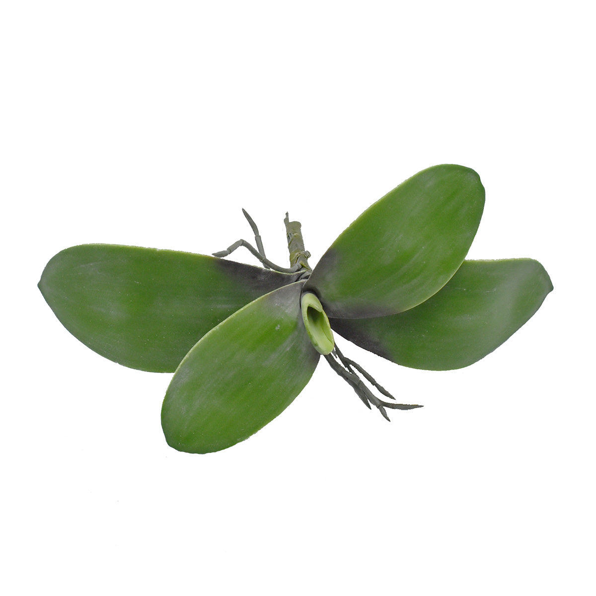 Paquete De 12 Pz Hoja de Orquídea Mariposa Artificial DA20382