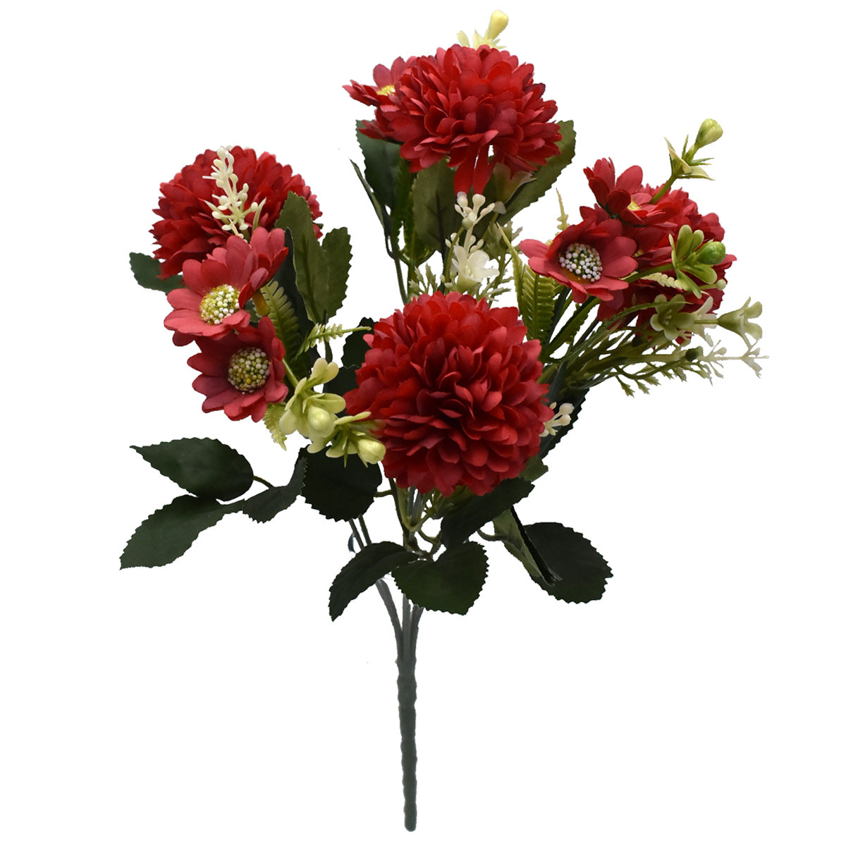 Pack 4 Crisantemos Y Margaritas Naturales | Plantas Vivas Con Flores, Mix Colores, Para Exterior Hogar