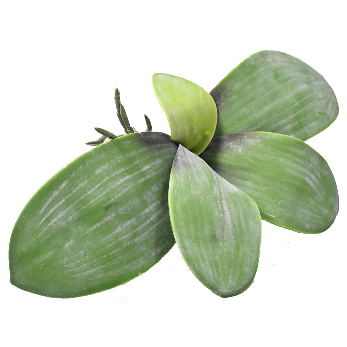 Paquete De 12 Pz Hoja de Orquídea Mariposa Artificial DA20382