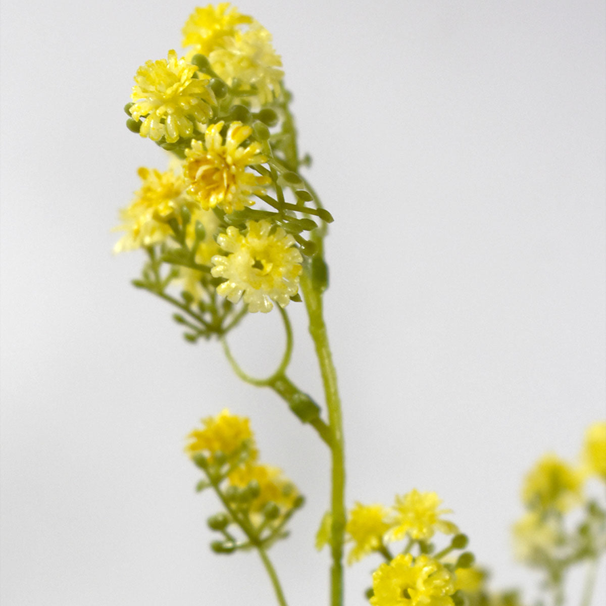 Vara Larga de Gypsophila Artificial Amarillo JHPQ65